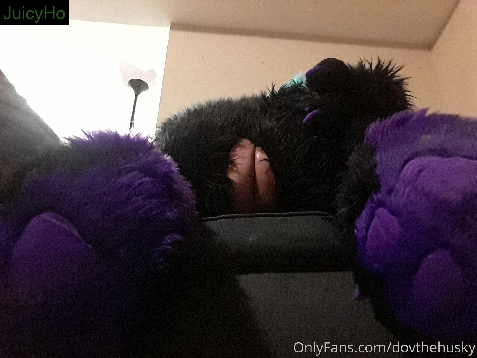 dovthehusky feet